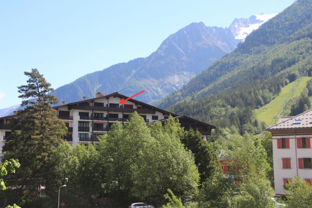 Studio Chamonix Mont-Blanc Idealement Situe Екстериор снимка